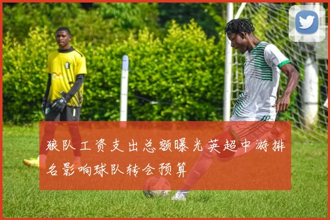 狼队工资支出总额曝光英超中游排名影响球队转会预算