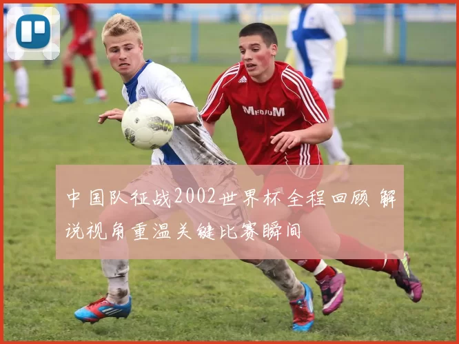 中国队征战2002世界杯全程回顾 解说视角重温关键比赛瞬间