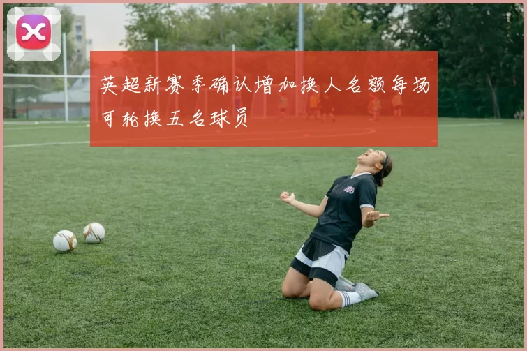 英超新赛季确认增加换人名额每场可轮换五名球员