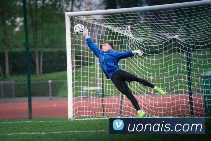 安博app登录入口 - 安博(中国)发展历程